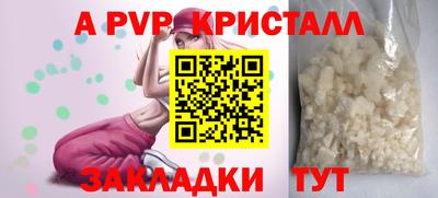 крисы Кунгур